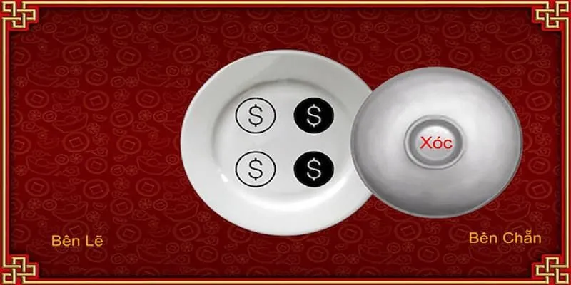 Nắm vững các lưu ý khi chơi 