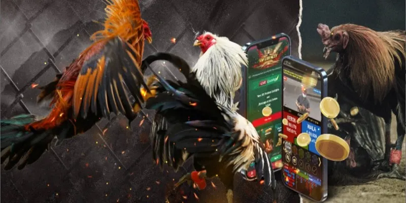 Các loại hình đá gà online cực hút thành viên