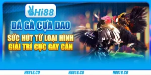 Đá gà cựa dao - Sức hút từ loại hình giải trí cực gay cấn 