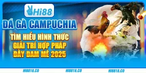 Đá gà Campuchia - Tìm hiểu hình thức giải trí hợp pháp, đầy đam mê 2025