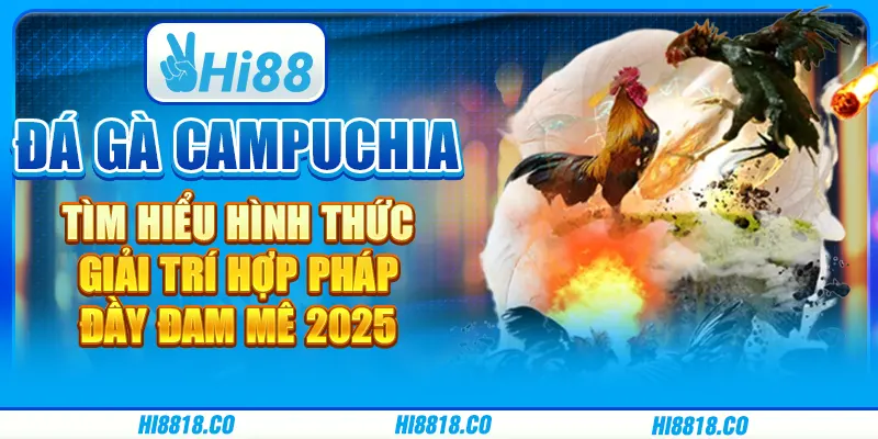 Đá gà Campuchia - Tìm hiểu hình thức giải trí hợp pháp, đầy đam mê 2025