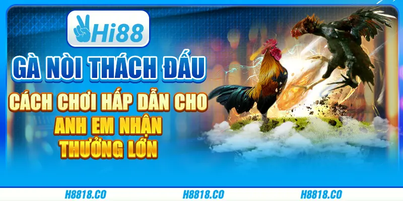 Gà nòi thách đấu - Cách chơi hấp dẫn cho anh em nhận thưởng lớn