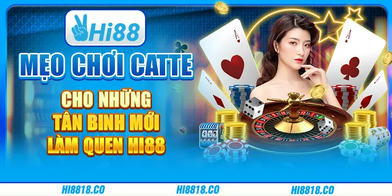 Mẹo chơi catte cho những tân binh mới làm quen Hi88