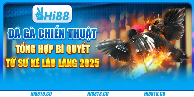 Đá gà chiến thuật - Tổng hợp bí quyết từ sư kê lão làng 2025