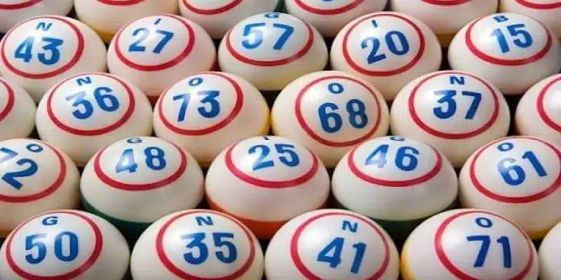 Bí kíp cược dàn đề