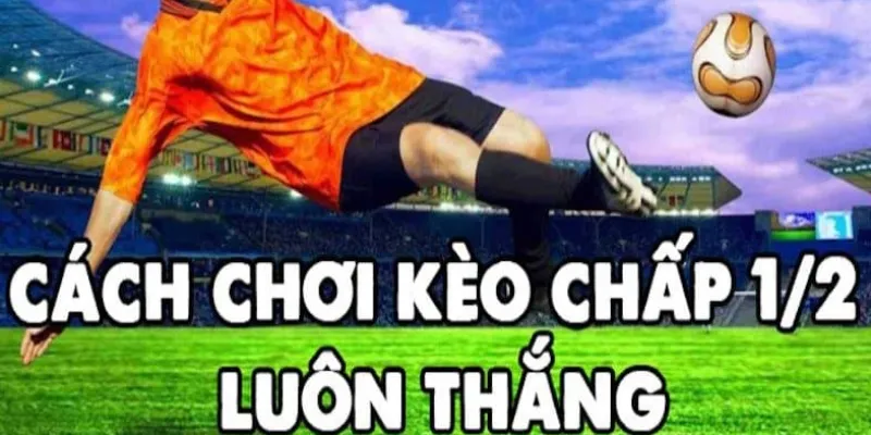 Mẹo đặt cược tăng cơ hội chiến thắng