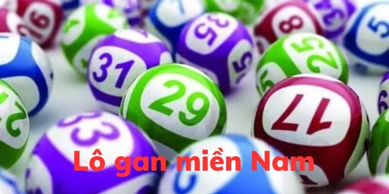 Định nghĩa thuật ngữ lô gan miền Nam