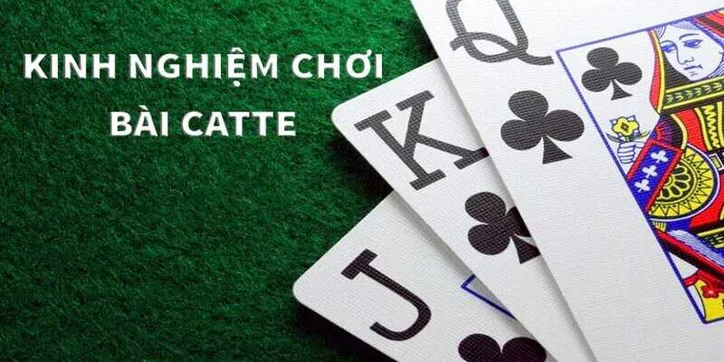Áp dụng thành thạo mẹo chơi catte để trở thành cao thủ của game bài