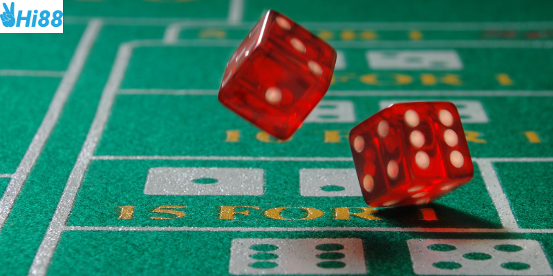 Quản lý tài khoản và chính sách từ nhà cái