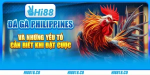Đá gà Philippines và những yếu tố cần biết khi đặt cược 