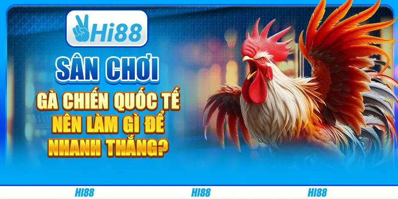 Sân chơi gà chiến quốc tế - Nên làm gì để nhanh thắng?