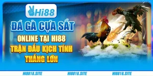 Đá gà cựa sắt online tại Hi88 - Trận đấu kịch tính, thắng lớn