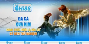 Đá gà cựa kim - Hình thức mới lạ mà sư kê nên thử nghiệm