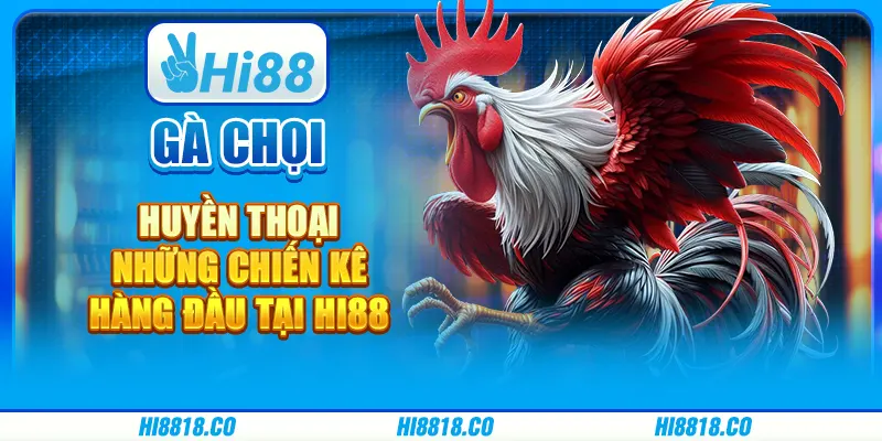 Gà chọi huyền thoại - Những chiến kê hàng đầu tại Hi88