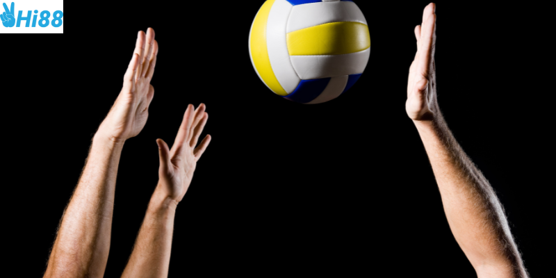Khám phá sức hấp dẫn của bộ môn bóng chuyền