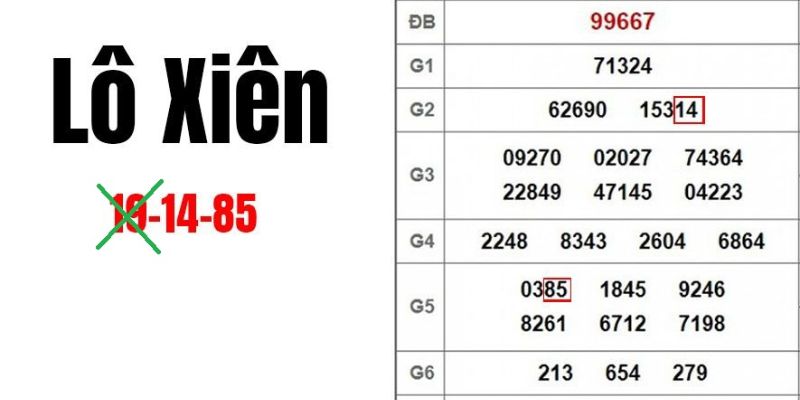 Kinh nghiệm đánh lô xiên cho tân thủ