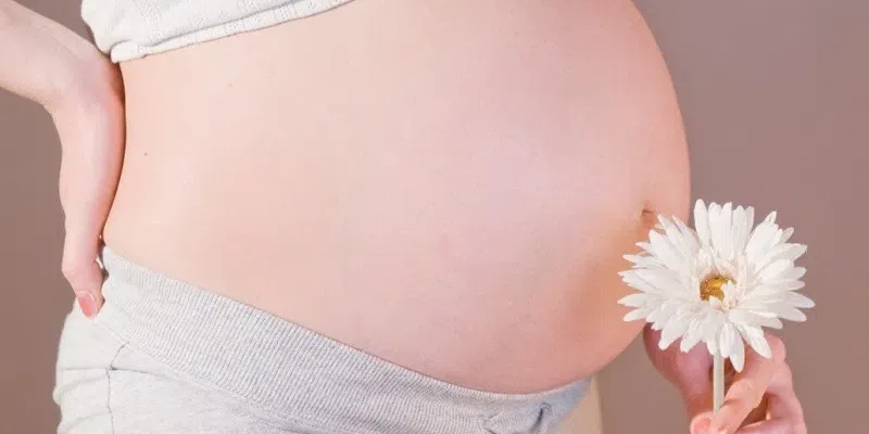 Nằm mơ thấy có bầu New88