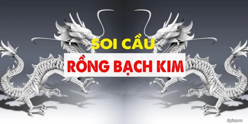 Tìm hiểu cụ thể về soi cầu Rồng Bạch Kim