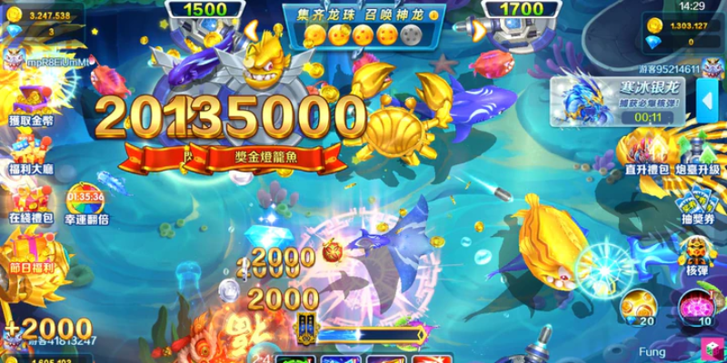 Hãy luôn quan sát thời gian và vị trí cá để có cơ hội bắn trúng